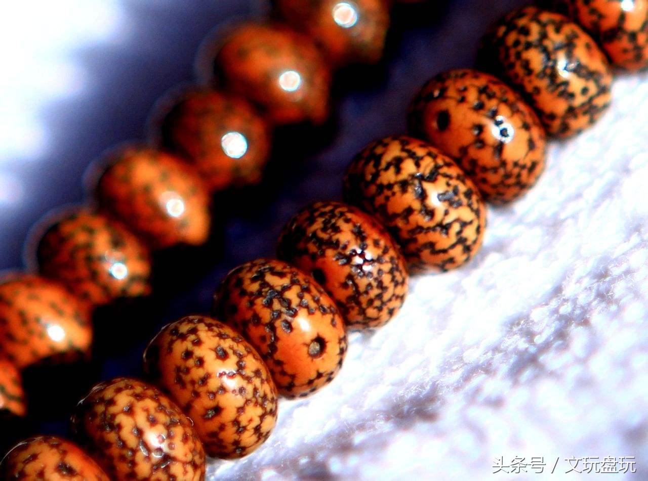 星月菩提最靠谱的挑选方法,星月菩提该怎么选