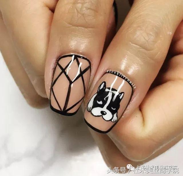 狗年财运最好的地方,狗年发财什么意思