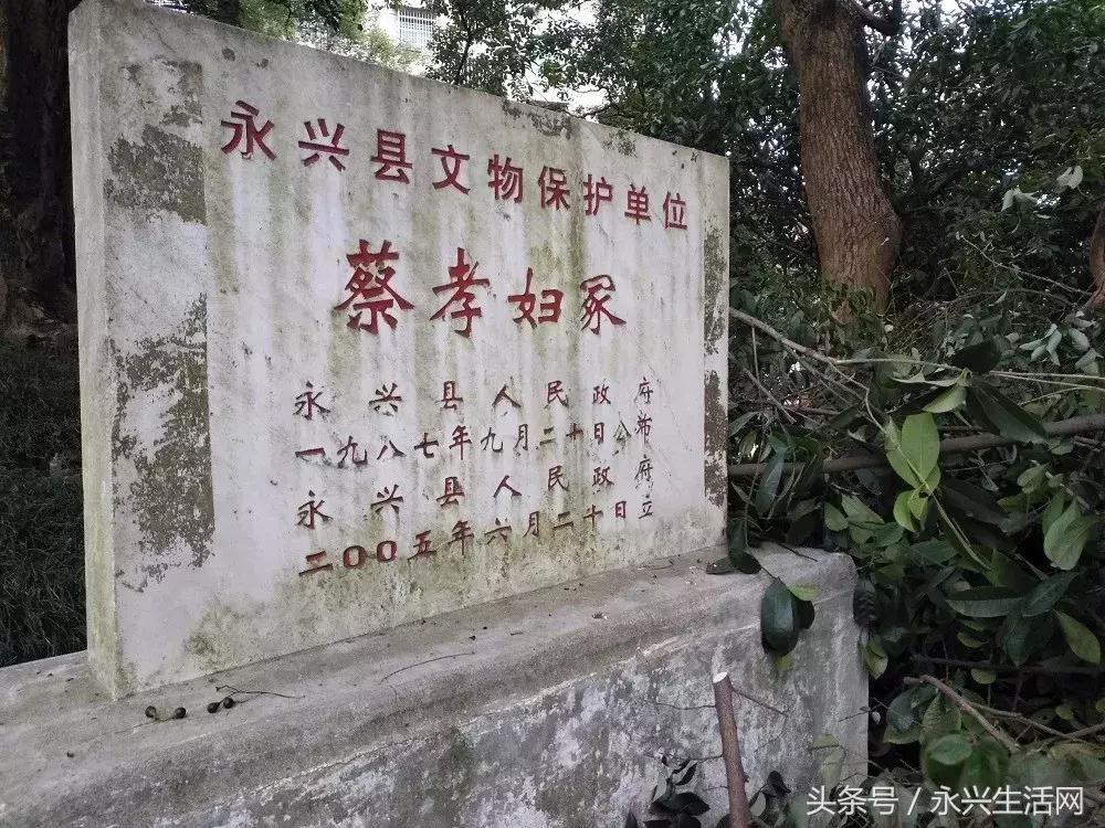 永兴一中老师名单,永兴一中