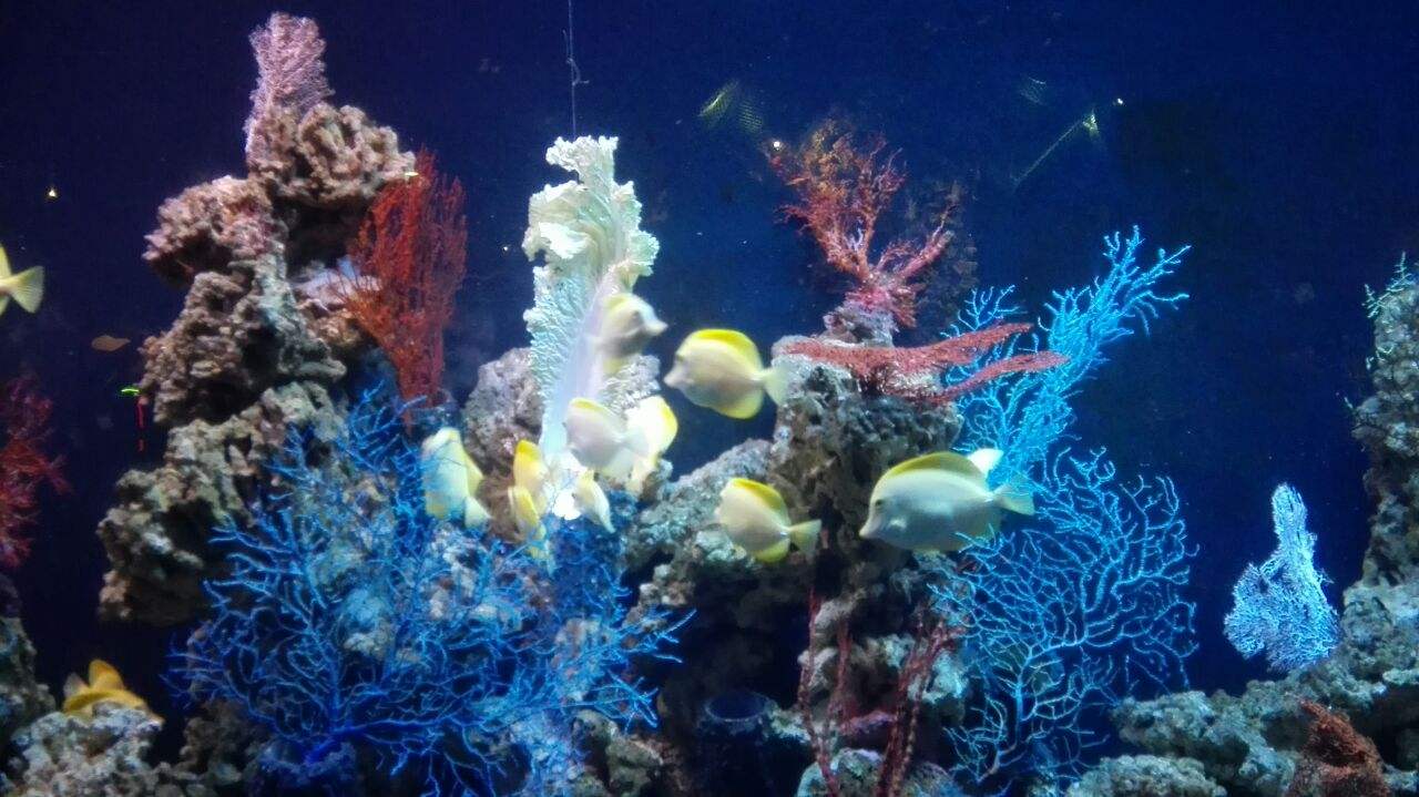 天津十大景点图片,天津生态园十大景点