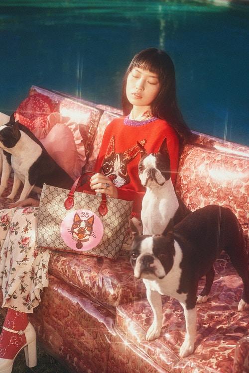 gucci狗头包,gucci刺绣狗头