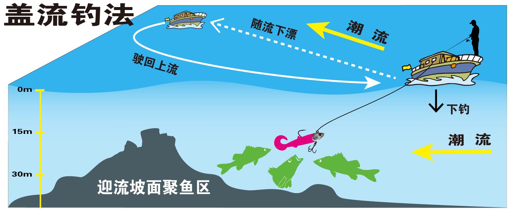 今年第一次钓海鲈鱼,最新钓七星鱼视频
