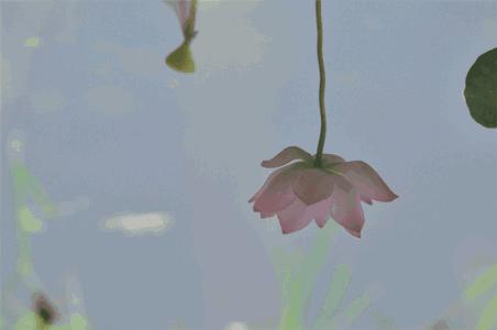 罗姐从事家具行业30年,罗姐一年收入多少钱