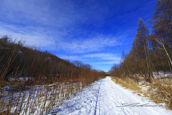 黑河兴安岭中有一个村款待客人方式怎么和蒙古族人一样？