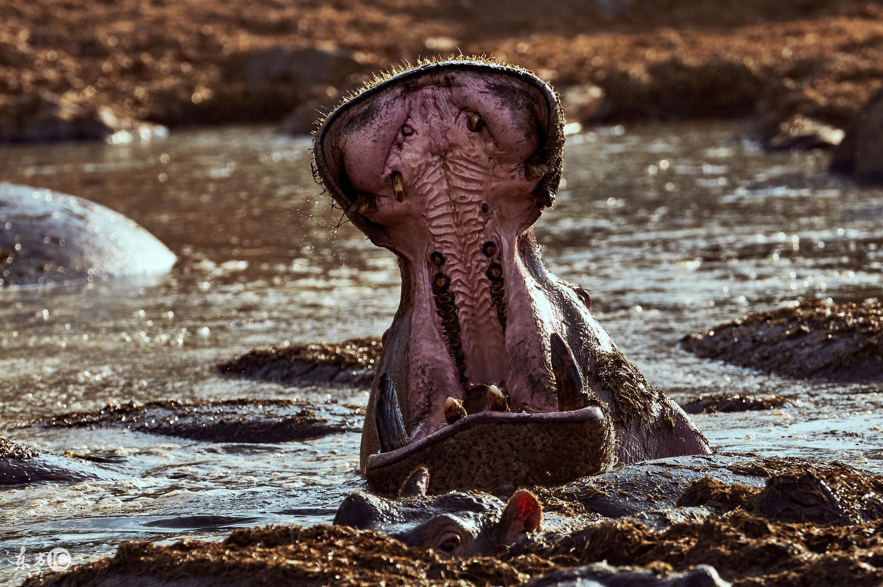 看图旅游,看图旅行