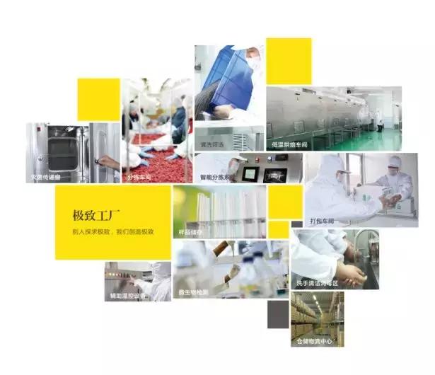 搴疯揪涔濇床浜旇胺鏉傜伯,搴疯揪涔濇床椋熷搧闆嗗洟