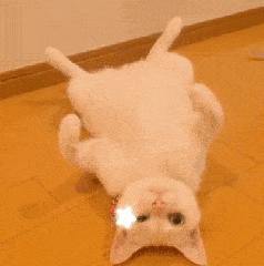 佳洁士和泊美哪个好,佳洁士和skii哪个好