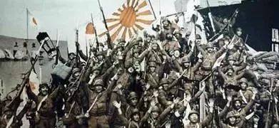 他的*书禁**拯救倭国却亡了大清：一雨纵横亘二洲，却余人物淘难尽