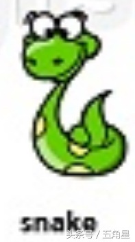 20个动物英语单词,2-8岁儿童学动物英文单词