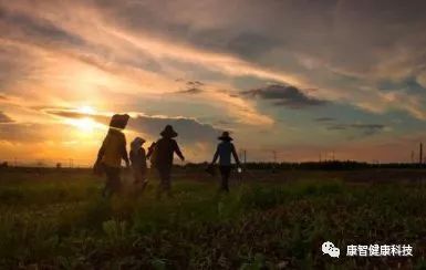 经常失眠多梦喝什么汤好,失眠多梦能喝什么汤