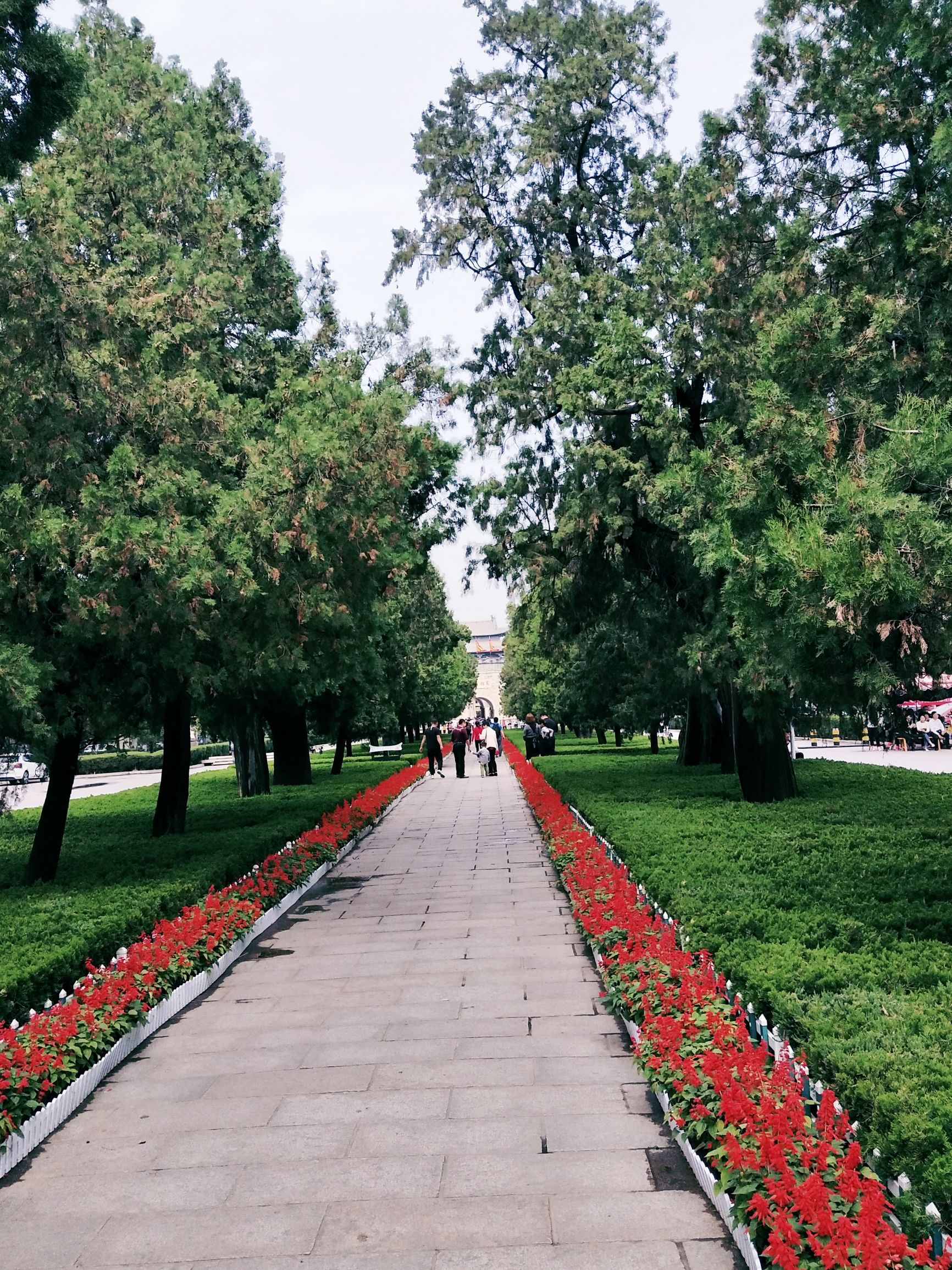 曲阜孔庙旅游攻略图片欣赏,曲阜孔庙景点简介图片高清