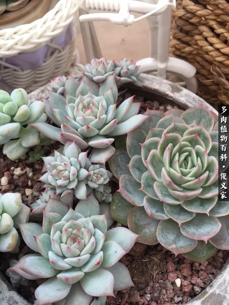 遇见你真是很幸运,遇见你真的很幸运下一句