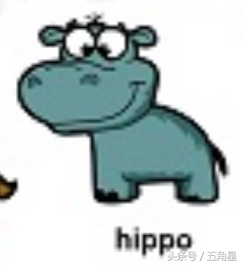 30个动物英语单词视频,动物的英语单词常见100个