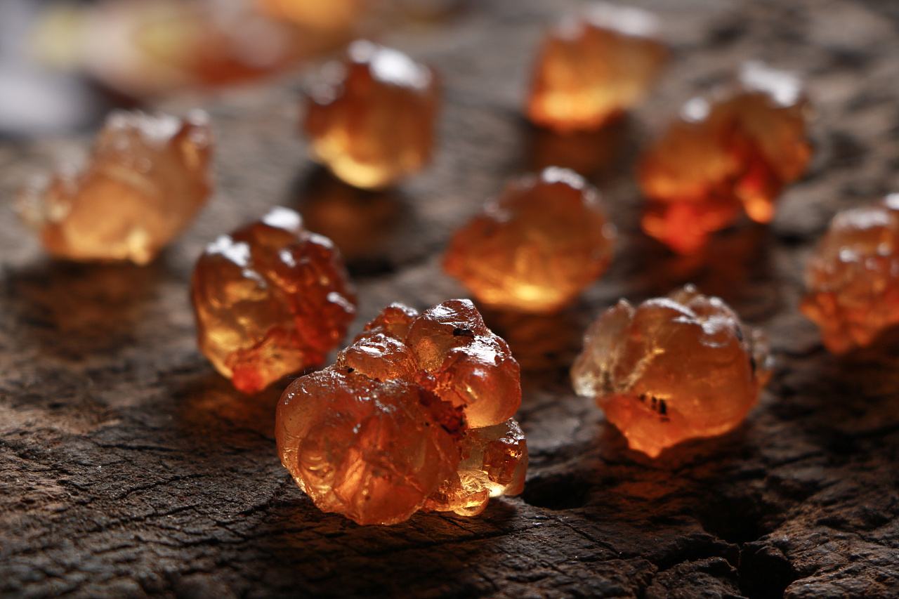 皇室贡品燕窝走下神坛,植物燕窝多少钱一斤