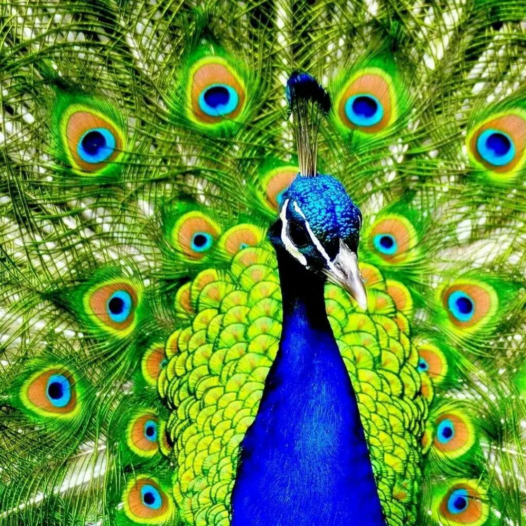 司徒小镇景区栖嬉园,山西司徒小镇栖嬉园