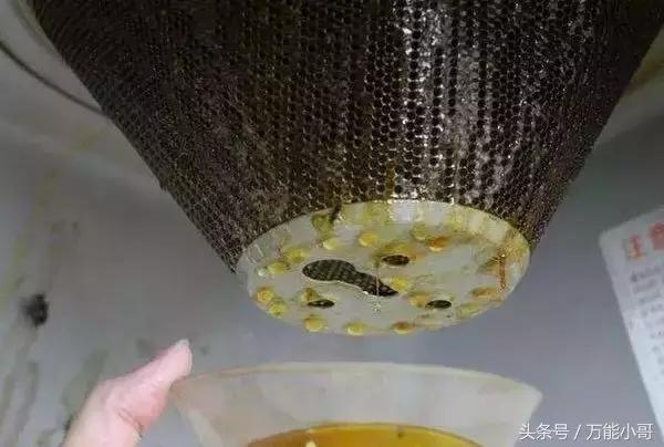 什么是抽油烟机免拆热清洗,蒸汽洗和高温洗抽油烟机哪个好