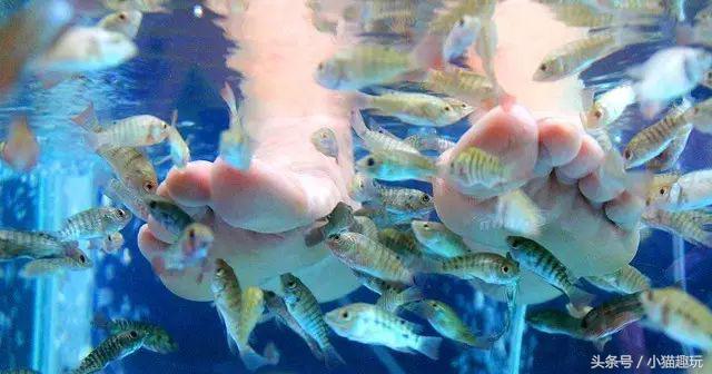 英德奇洞温泉特价门票多少钱一张,英德奇洞温泉度假区两日自驾游