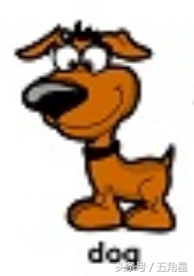 20个动物英语单词,2-8岁儿童学动物英文单词