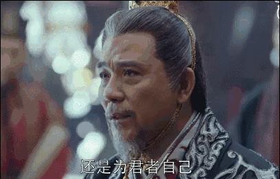 琅琊榜之风起长林看完后总结,琅琊榜之风起长林最后结局