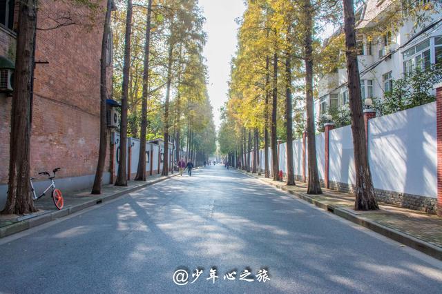 去上海玩全程攻略包括酒店,2022年上海海昌海洋公园游玩攻略