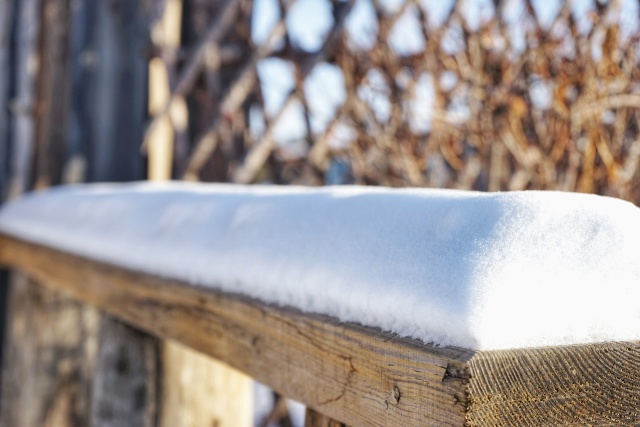 「新年目的地推荐一」金鸡之巅，边境梦雪，一路向北