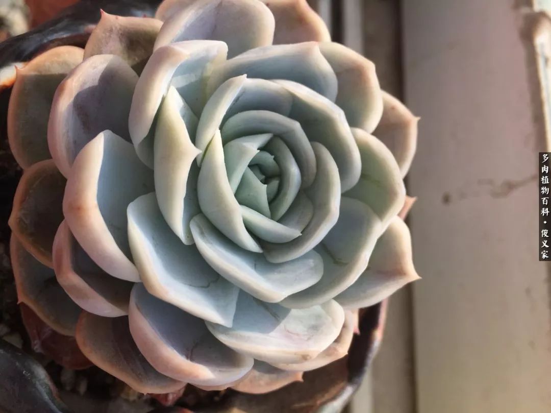 遇见你真是很幸运,遇见你真的很幸运下一句