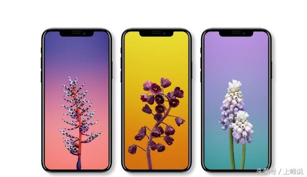 中国消费者买苹果产品,中国消费者狂买苹果手机视频