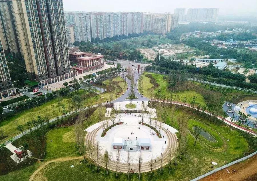 牛爆了原版视频,牛爆了