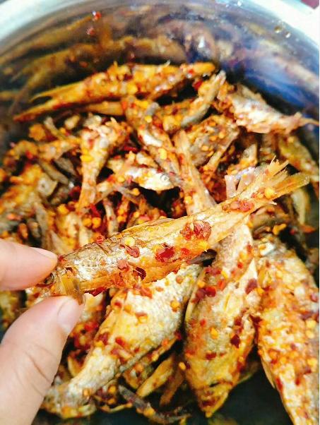 农村乡下水里的这些野货，你小时候有没有捉过？觉得好吃吗？