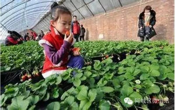 阿城现在的生活,阿城现在如何