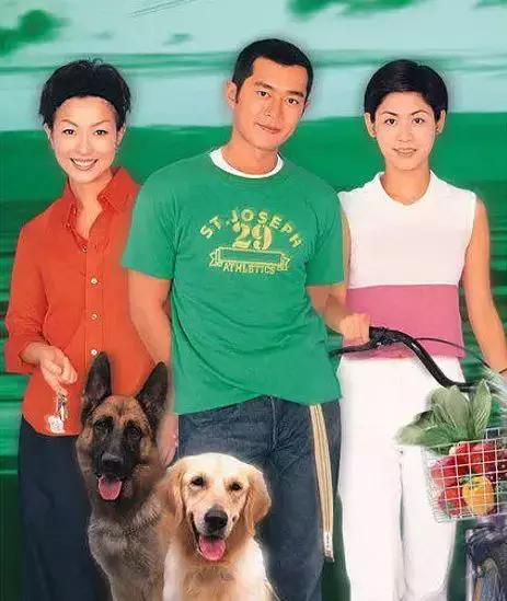 tvb剧集东九龙重案组,西九龙重案组介入调查tvb