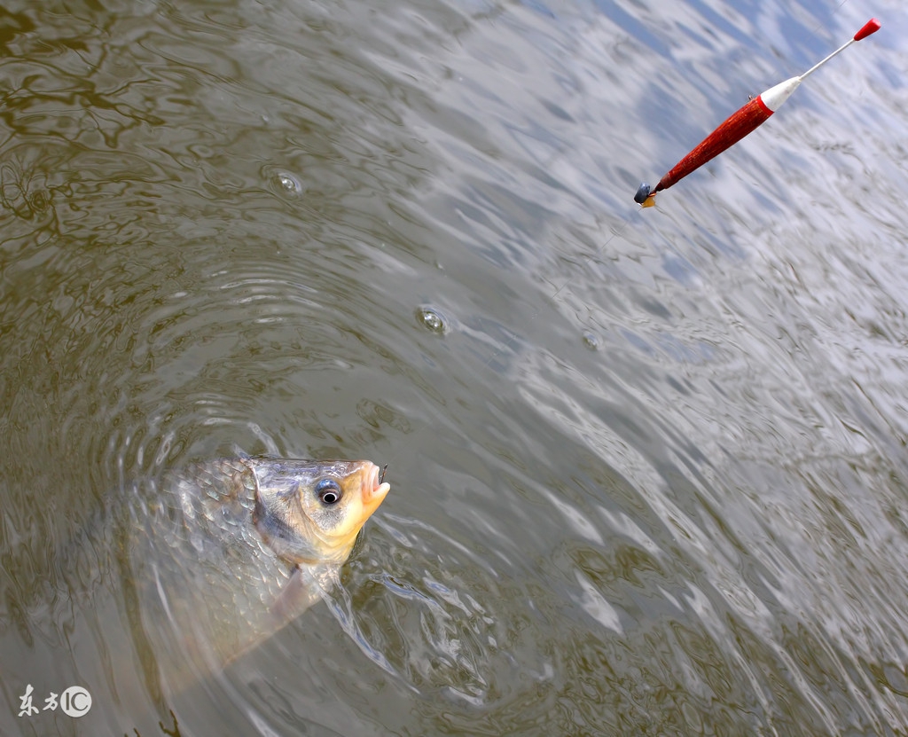 调4目钓2目水底是什么状态,什么是调4目钓两目