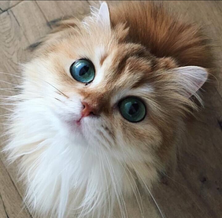 推荐几款平价又好用的眼霜,推荐几款好用又不贵的眼霜