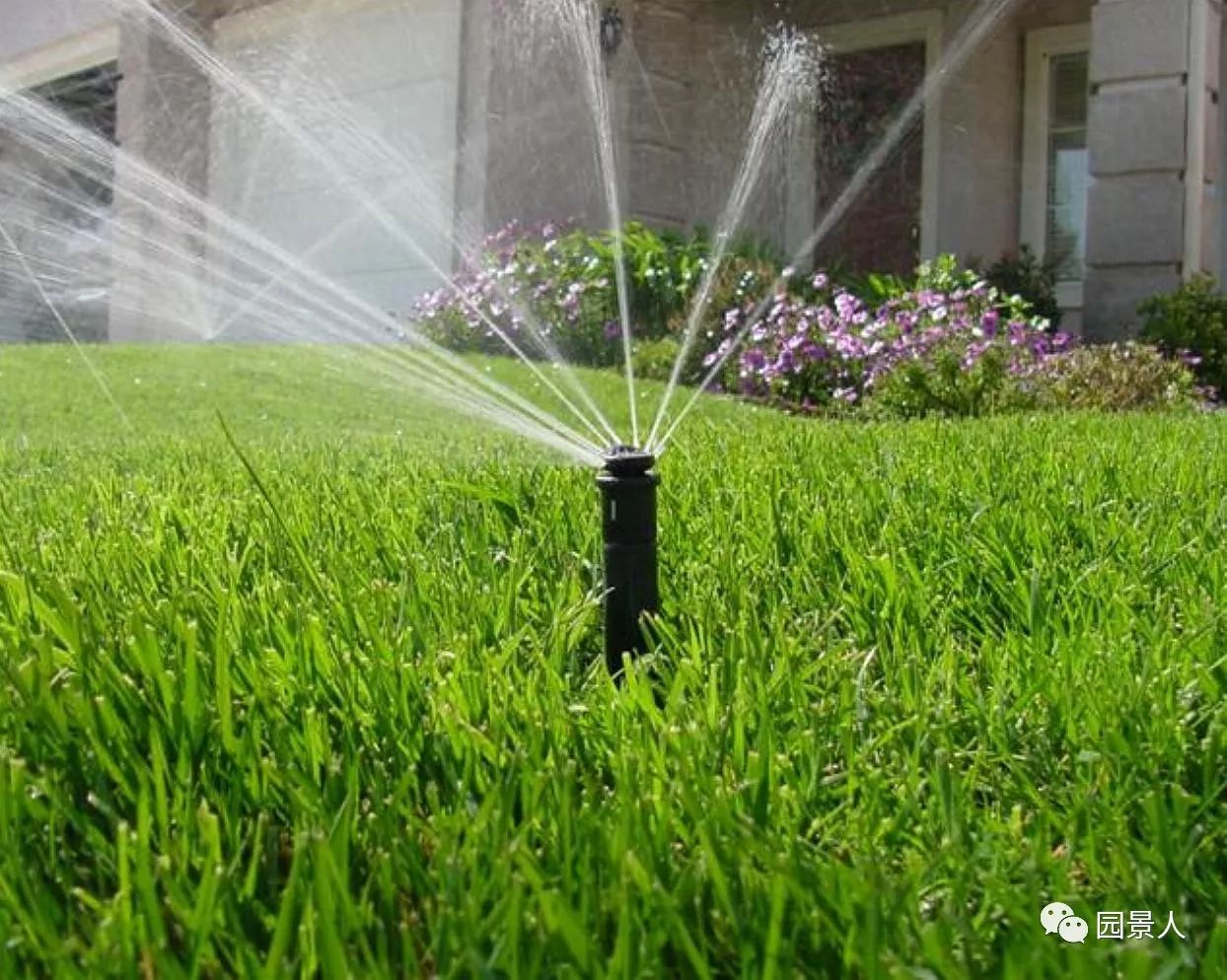 新铺的草坪怎么维护,草坪怎么维护保养