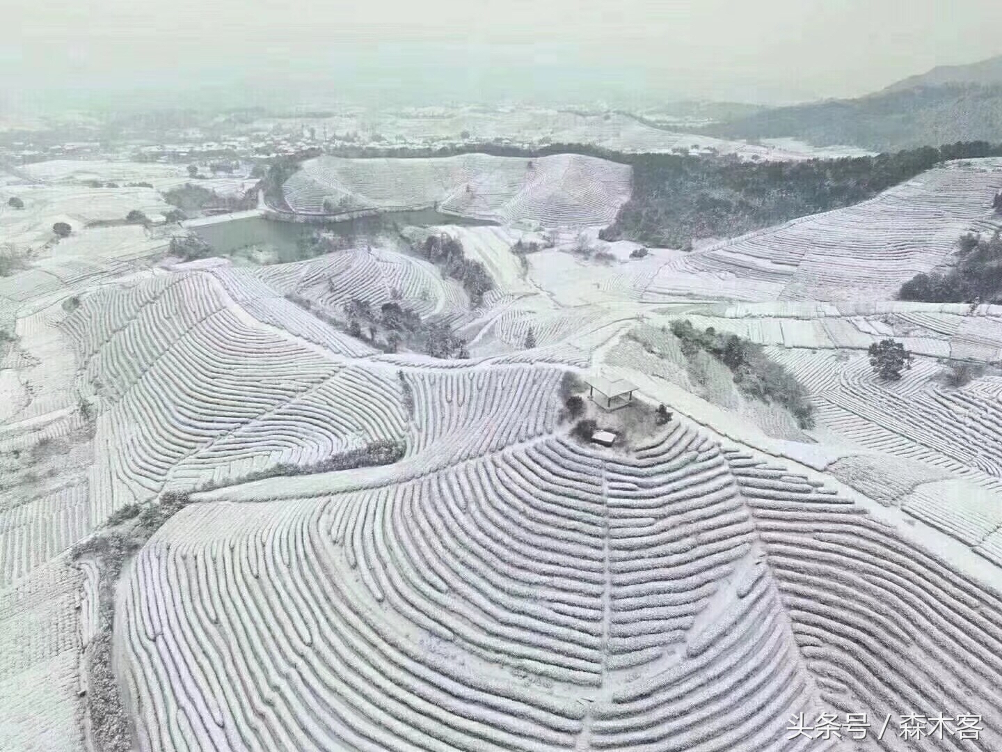 大雪后的城市美得一踏糊涂那么大雪后的西部高原是怎么样的呢