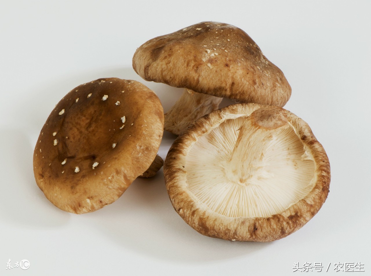 香菇种植有哪些病虫害,香菇的种植技术和病虫害