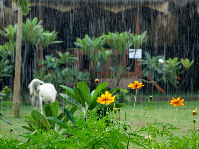 长滩之旅分享篇,长滩旅游行程