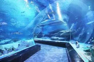 从a到z有氧,从a到z的成长