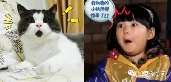 夫妻卖掉仅5天的亲生儿子,夫妻两个卖孩子