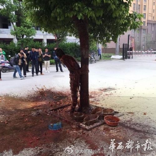 新闻龙门阵｜遭泼狗血！这个新郎太惨了，我宁愿单身到老