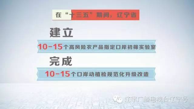 出境旅游最多可带多少现金,五一愉快出境游这些规矩不能忘
