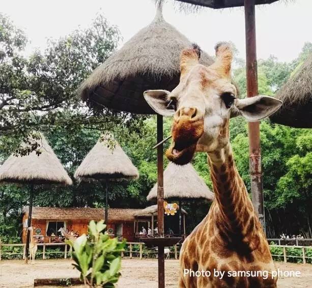 三星galaxys7解锁,三星GalaxyS7