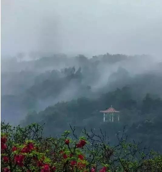 从A到Z，26个字母，看透大南沙！