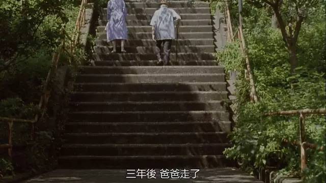 步履不停你才25岁,步履不停你才25岁台词