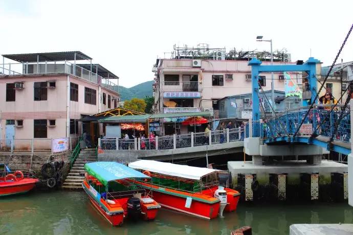 妈妈咪咪嘉年华的欢乐体验和香港郊区的生态怡然之旅