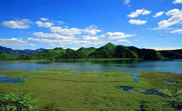 身份证450开头为什么全球免签,身份证丢了急用出国旅游怎么办