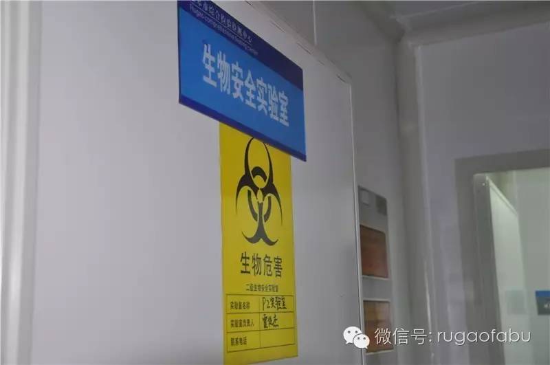 这个部门，太重要了！因为~