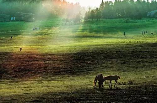 春节重庆免费景点大全,重庆自驾免费景点
