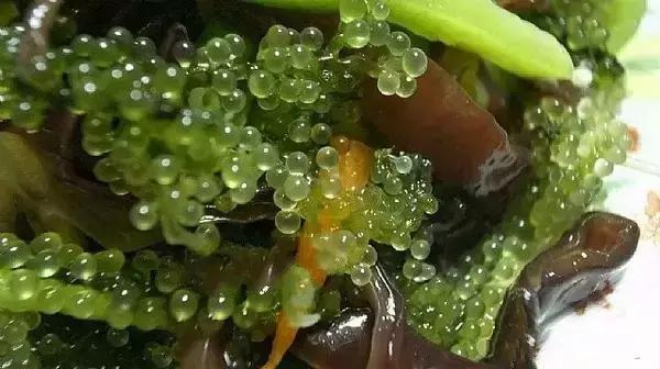 吃过这五种水果是土豪,这些水果吃过一半以上的全是土豪