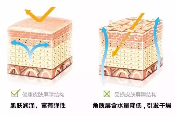 皮肤屏障受损化妆品,皮肤屏障受损大牌化妆品
